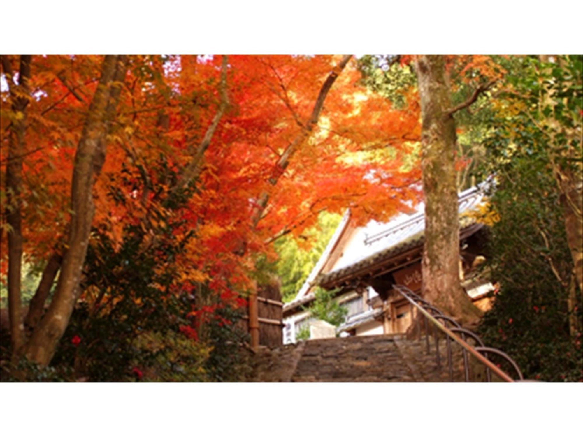 River Side Arashiyama - Vacation 86277v Hotel *