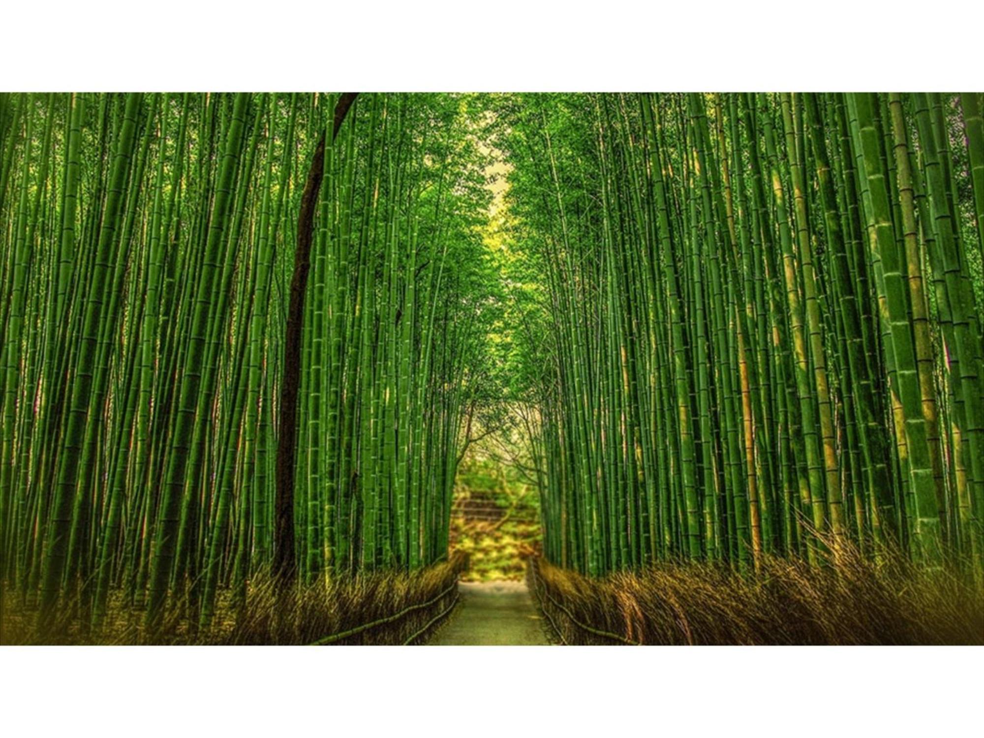River Side Arashiyama - Vacation 86277v Hotel *